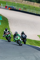 PJ-Motorsport-2019;donington-no-limits-trackday;donington-park-photographs;donington-trackday-photographs;no-limits-trackdays;peter-wileman-photography;trackday-digital-images;trackday-photos